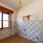 content-gallery-6-large