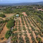 content-gallery-6-large