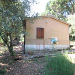 content-gallery-6-large