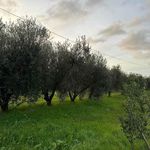 content-gallery-6-large