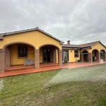 content-gallery-6-large