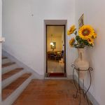 content-gallery-6-large