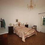 content-gallery-6-large