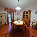 content-gallery-6-large