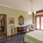 content-gallery-6-large