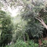 content-gallery-6-large