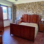 content-gallery-6-large