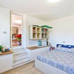 content-gallery-6-large