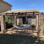 content-gallery-6-large