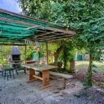 content-gallery-6-large