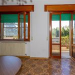 content-gallery-6-large