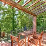 content-gallery-6-large