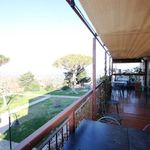 content-gallery-6-large