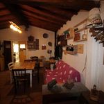 content-gallery-6-large