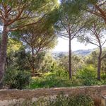 content-gallery-6-large