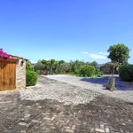 content-gallery-6-large