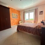 content-gallery-6-large