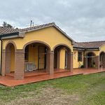 content-gallery-6-large