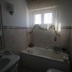 content-gallery-6-large