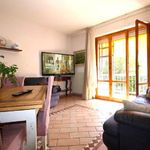 content-gallery-6-large