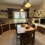 content-gallery-6-large