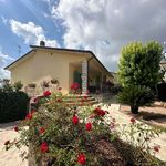 content-gallery-6-large