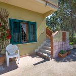 content-gallery-6-large