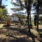 content-gallery-6-large