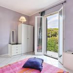 content-gallery-6-large