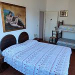 content-gallery-6-large