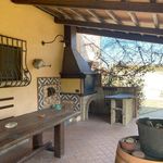 content-gallery-6-large