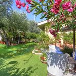 content-gallery-6-large