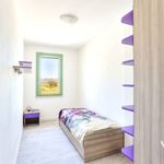 content-gallery-6-large