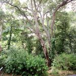 content-gallery-6-large