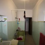 content-gallery-6-large