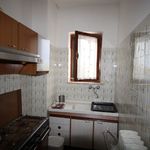 content-gallery-6-large