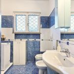 content-gallery-6-large