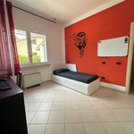 content-gallery-6-large