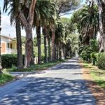 content-gallery-6-large