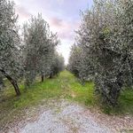 content-gallery-6-large