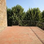 content-gallery-6-large