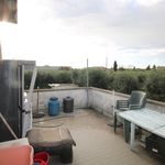 content-gallery-6-large