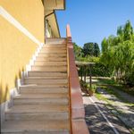 content-gallery-6-large