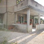 content-gallery-6-large