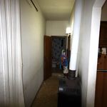 content-gallery-6-large