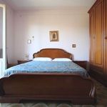 content-gallery-6-large