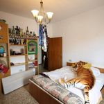 content-gallery-6-large