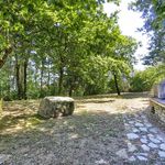 content-gallery-6-large