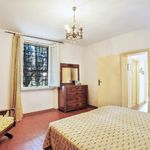 content-gallery-6-large