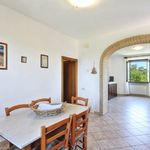 content-gallery-6-large